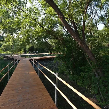 гостиница Вагнер Irota